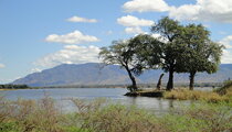 Mana Pools