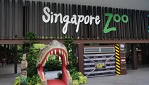 Singapore Zoo