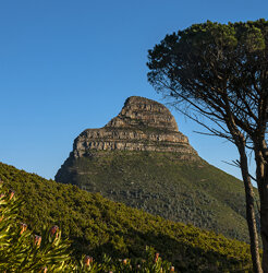 پارک‌های ملی بر پایه کشور