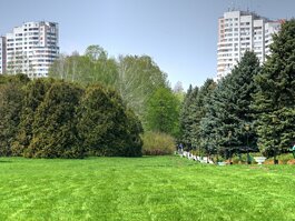 Ботанический сад Академии наук Республики Молдова