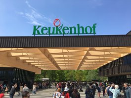 Keukenhof