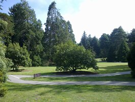 Jardín Botánico de San Francisco