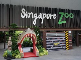 Singapore Zoo