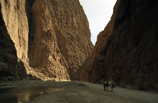 Todra Gorge