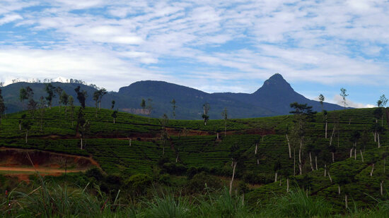 Adam&#039;s Peak