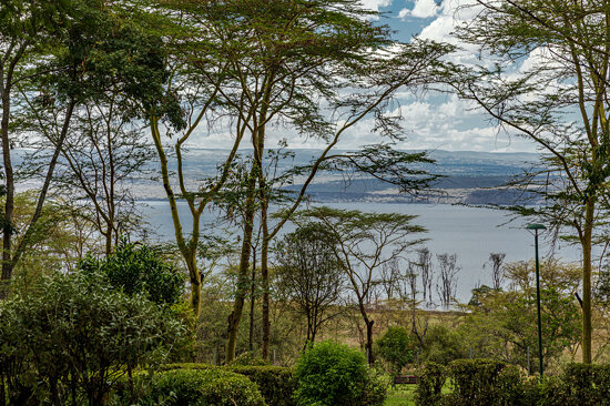 Lake Nakuru National Park, Kenya