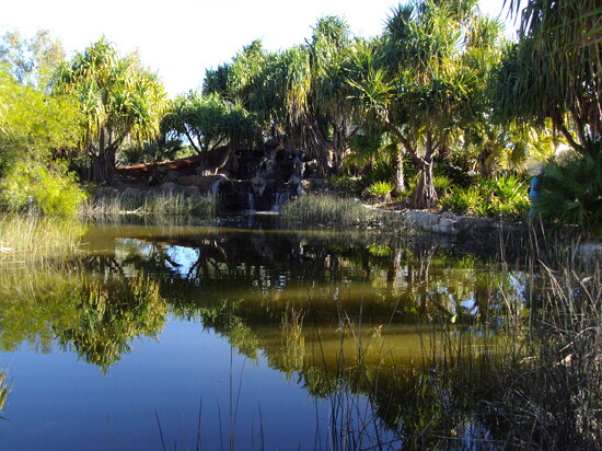 Mt Isa museum. Riversleigh fossil deposit location  style of environment gardens.