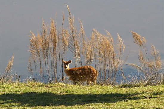 down by the waterfront