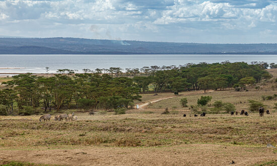 Lake Nakuru National Park, Kenya