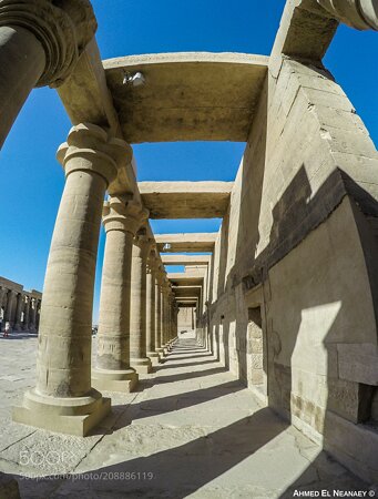 Pillars from Philae Temple