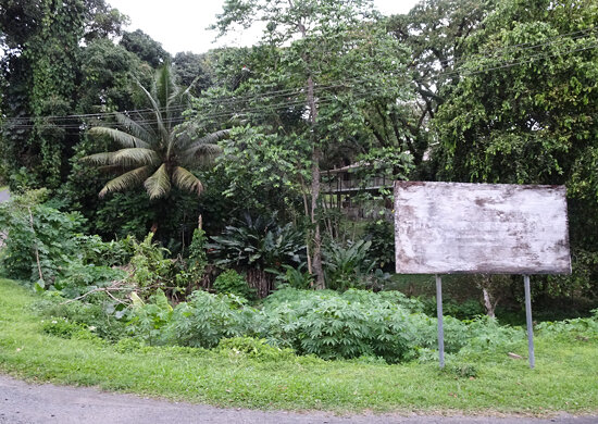 Sign With Nothing to Say