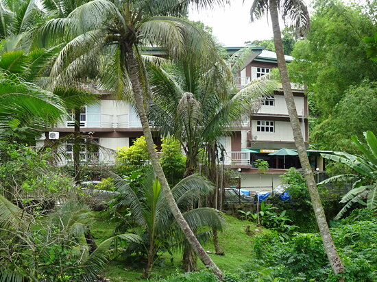 Apartments Behind Palms