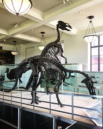 American Museum of Natural History