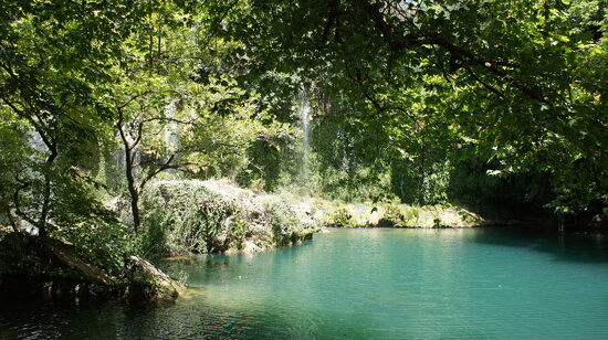 2012-06-30_11-39-01_NEX-5_DSC04269