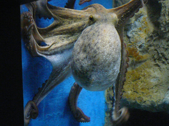 Aquaworld Aquarium Crete, Greece