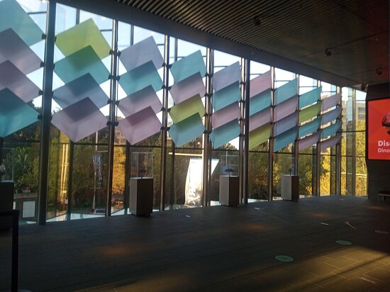 Австралійський музей