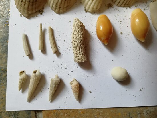 Bahrain National Museum