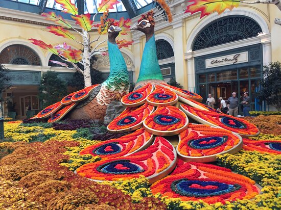 بلاژیو (هتل و کازینو)