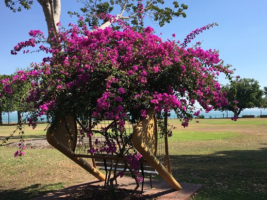 20191017_153658-IMG_5304