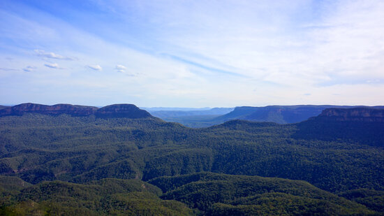 Can you sing with all the voices of the mountain? Can you paint with all the colors of the wind?