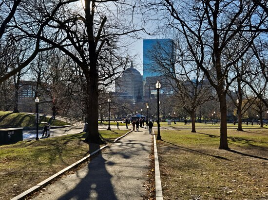 Boston Common, December 2024