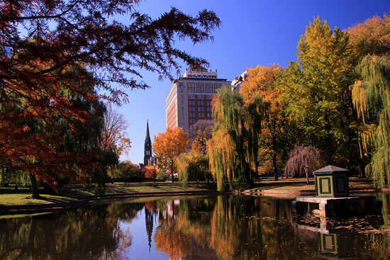 Fall Foliage 2015, Boston Public Garden, November 4, 2015
