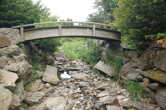 Arnold Arboretum, 18 May 2010: Footbridge over the Bussey Brook