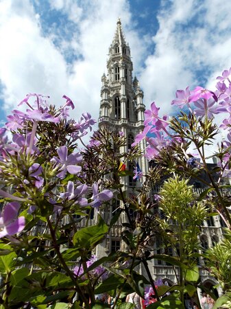 Brussels Town Hall
