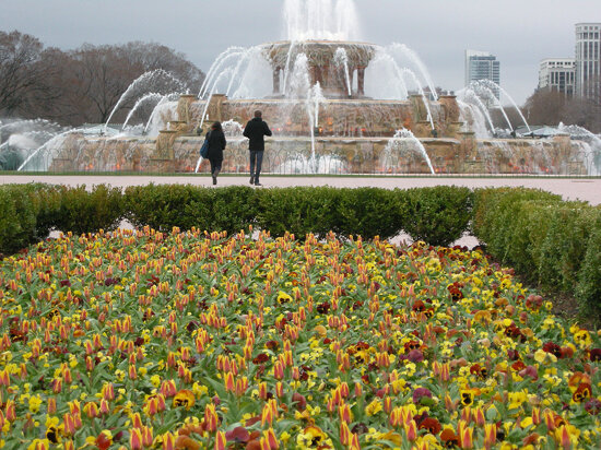 Buckingham Fountain