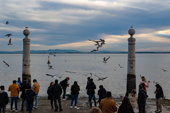 12-25-2024 Lisbon, Portugal (210 of 278)