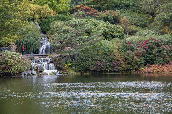A cloudy Autumn day at the Chicago Botanic Garden