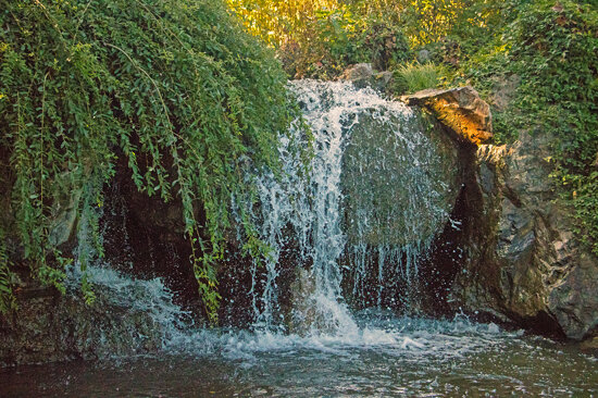 Chicago Botanic Garden