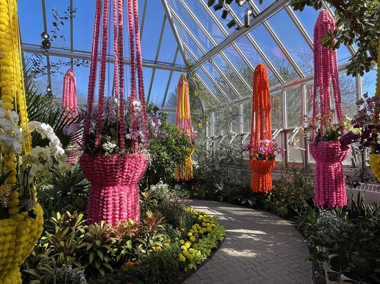 Chicago Botanic Garden &quot;India Blooms&quot; Orchid Show 2025