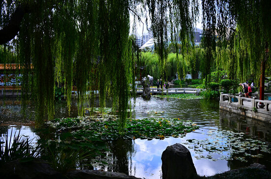 Chinese Garden, Sydney