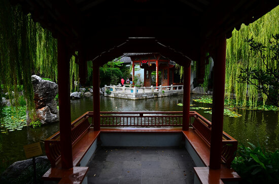 Chinese Garden, Sydney