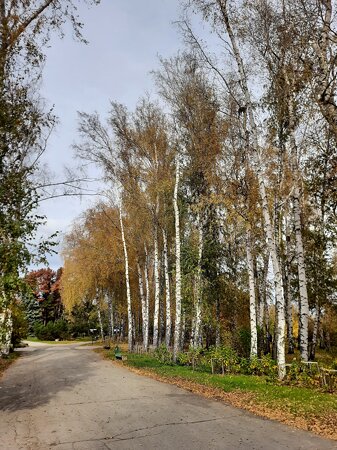 Chișinău Botanical Garden