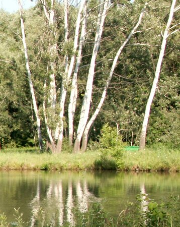 Chișinău Botanical Garden