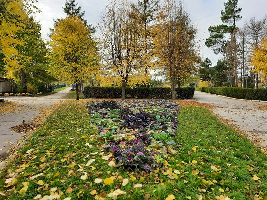 Chișinău Botanical Garden