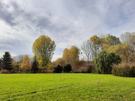 Chișinău Botanical Garden