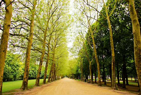Parc du Cinquantenaire - Brussels