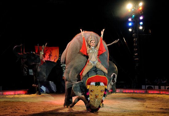 Circus Krone, Germany 2011