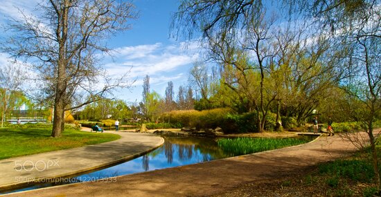 Nerang Pool, Canberra