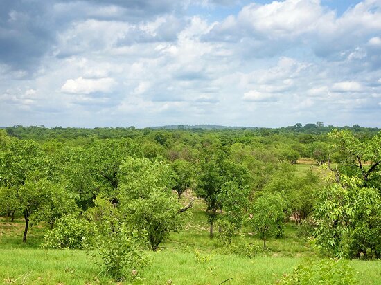 Comoé National Park