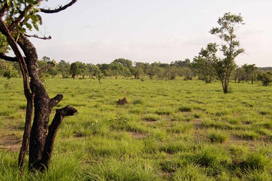 Comoé National Park