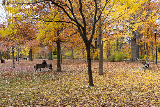 Craigleigh Gardens, Rosedale, Toronto, Ontario, Canada