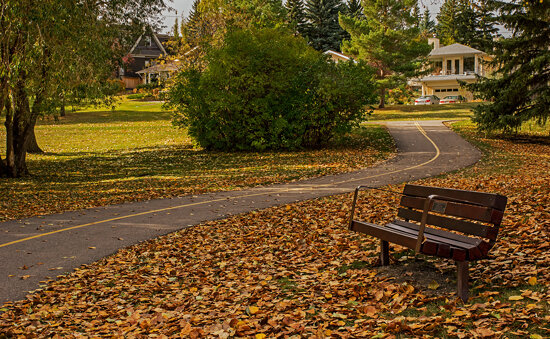 Bench &amp; Pathway