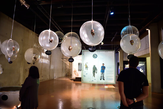 Cradle of Humankind, Maropeng, Gauteng, South Africa