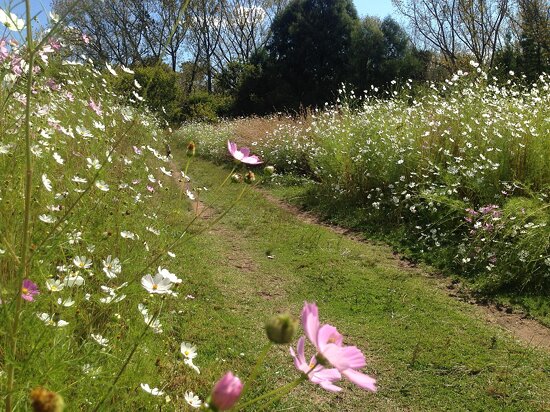 Delta Park (Johannesburg)