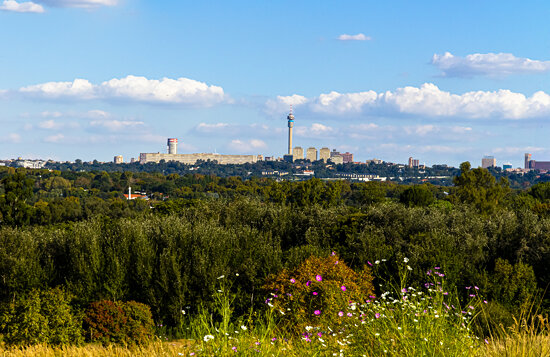 Autumn sets in over Johannesburg
