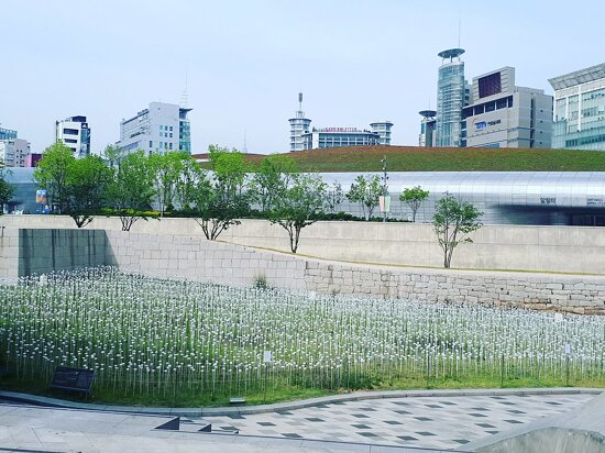 IMG_20170619_095439_829